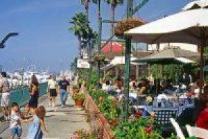 Marina International Image