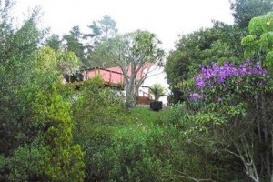 Masescha Country Estate Hotel Plettenberg Bay Image