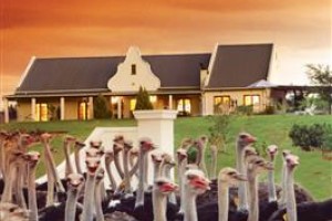 Mooiplaas Guesthouse Oudtshoorn Image