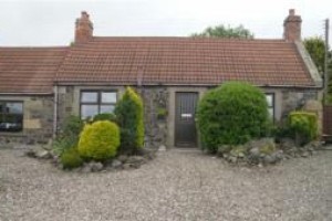 Morris Guest House Image