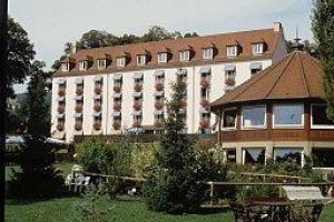 Muller Hotel Niederbronn-les-Bains Image