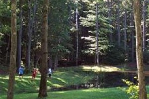 Nascar RV Resorts at Wild Acres Image
