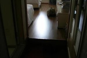 New Island Tourist Hotel Image