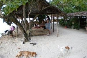 Nusa Island Retreat Image