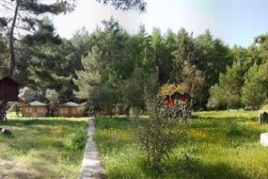 Olympos Woods Treehouses Image