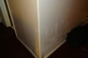 Oregon Motel 8 & RV Park Image