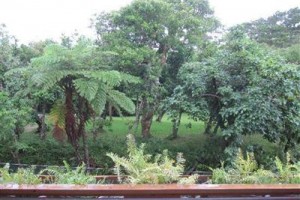 Painu Maya Resort Image
