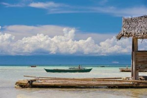 Palm Island Resort Bohol Image