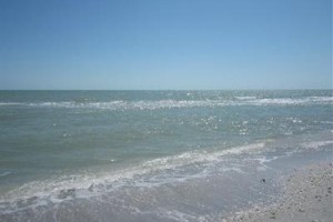 Palm Island Resort Cape Haze Image