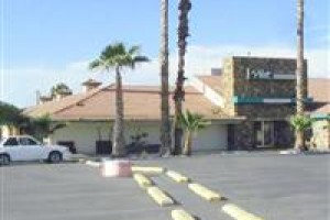 Palm Tree Inn Image