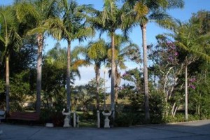 Palms Oasis Motel Taree Image