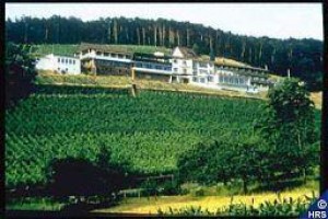 Panorama Hotel & Restaurant Schlossberg voted 4th best hotel in Alzenau