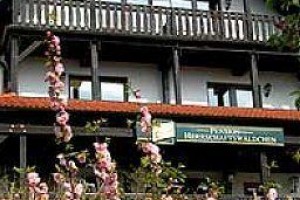 Pension Herrschaftswaldchen Image