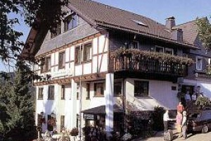 Zur Schonen Aussicht voted 6th best hotel in Hallenberg