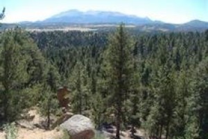 Pikes Peak Paradise Bed and Breakfast Image