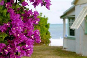 Pines and Palms Resort voted 10th best hotel in Islamorada