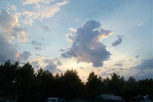 Pineta di Sibari Image