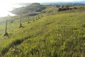 Posada Rural Punta Linera voted 9th best hotel in San Vicente de la Barquera