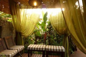 Pousada Tamandua Image