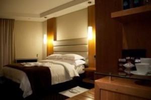 Premier Hotel OR Tambo Image