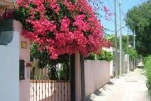 Procidatour Vacanze Image