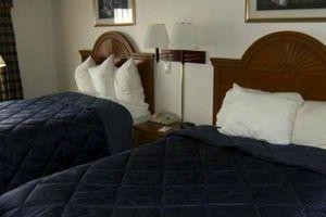 Quality Inn Kalamazoo Image