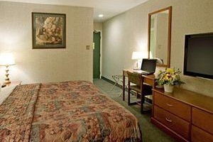 Quality Inn - Sydney Image