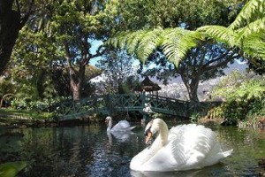 Quinta Jardins do Lago voted 3rd best hotel in Funchal