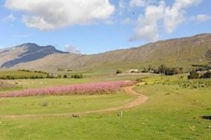 Ravenna Mountain Retreat voted 9th best hotel in Montagu