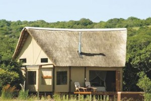 Reed Valley Bush Lodge Amakhala Game Reserve voted 2nd best hotel in Amakhala Game Reserve