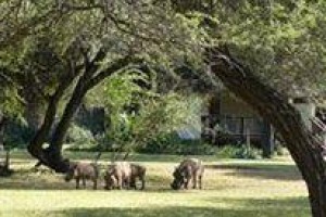 Rhino River Lodge Image