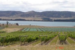 Riversdale Estate Cottages Hobart Image