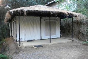 Sat Tal Birding Camp Image