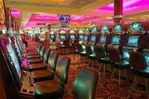 Seminole Hard Rock Hotel & Casino Tampa Image