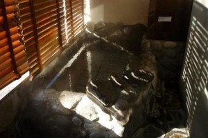 Sengokuhara Shinanoki Ichinoyu Image