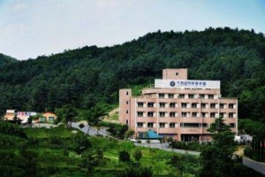 Gapyeong Seorak Tourist Hotel Image