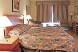 Seven J's Motel Image