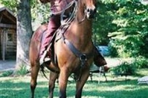 Seventy-four Ranch Image