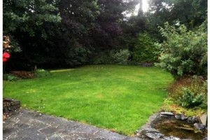 Shanlin House B&B Image