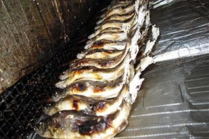 Shirafuneso Shintaku Ryokan Image