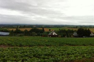 Shitsugeikan Kunsthaus Image