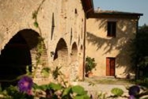 Solimago Image