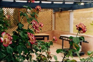 Sovereign Hill Country Lodge Image