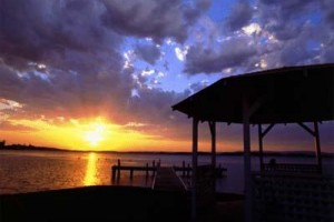 Squid's Ink Hotel voted 3rd best hotel in Belmont