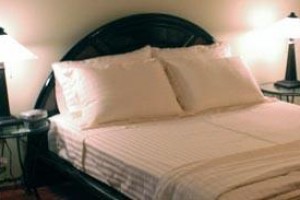 Stafford House Bed & Breakfast Image