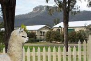 Starline Alpacas Farmstay Resort Broke voted  best hotel in Broke