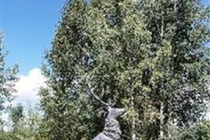 The Steamboat Hotel Image