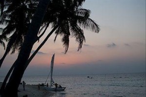 Stingray Beach Inn Image