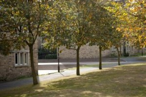 Storthes Hall Park Image