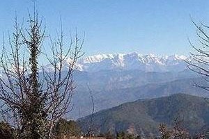 Suman Royal Resort Kausani Image